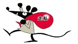 不法分子走私棉花，严重扰乱棉市经济